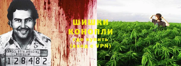 тгк Горнозаводск