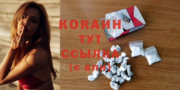 прущие крисы Горняк