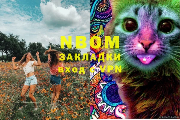 тгк Горнозаводск