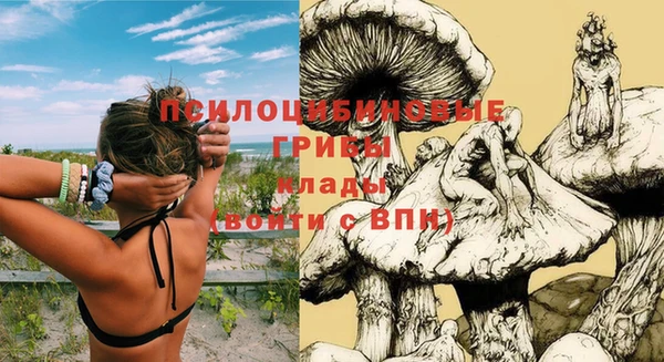 круглые Горно-Алтайск