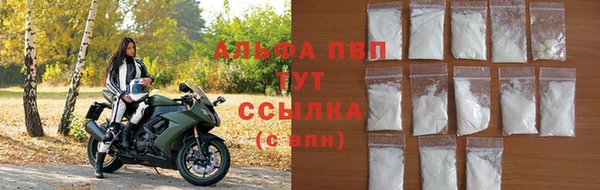 прущие крисы Горняк