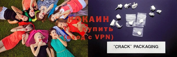 прущие крисы Горняк