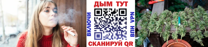 Бошки Шишки White Widow  Купить где  Маркс 